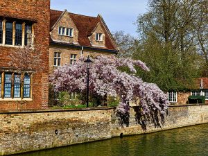 cambridge