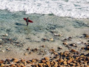 loi-surf