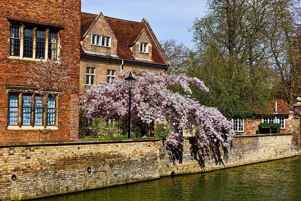 Cambridge : par où commencer la ville ?