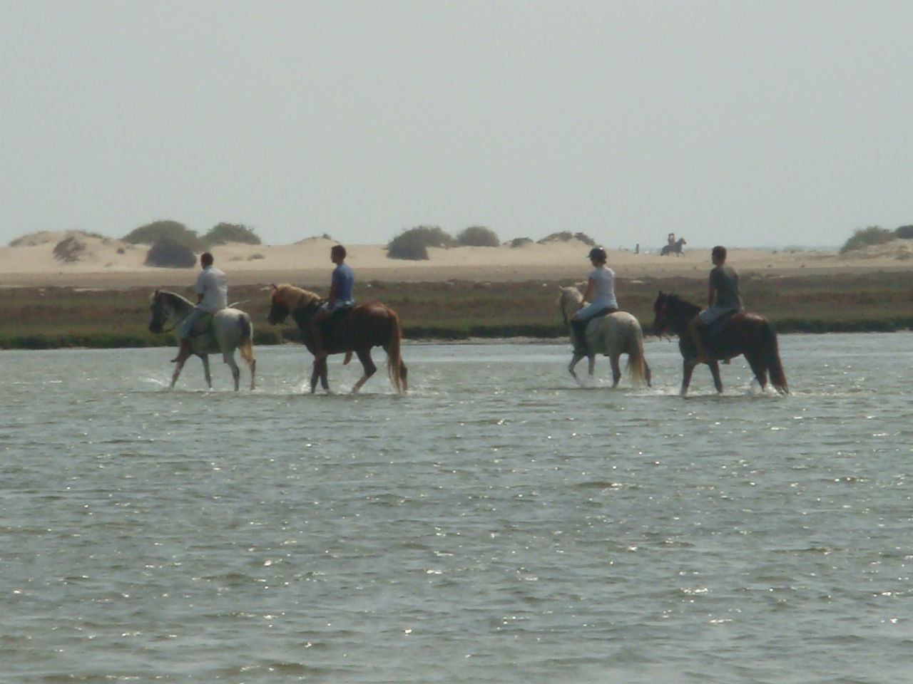 randonnee cheval tunisie