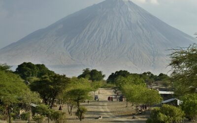 La Tanzanie : Un Safari Inoubliable Malgré les Infrastructures Limitées