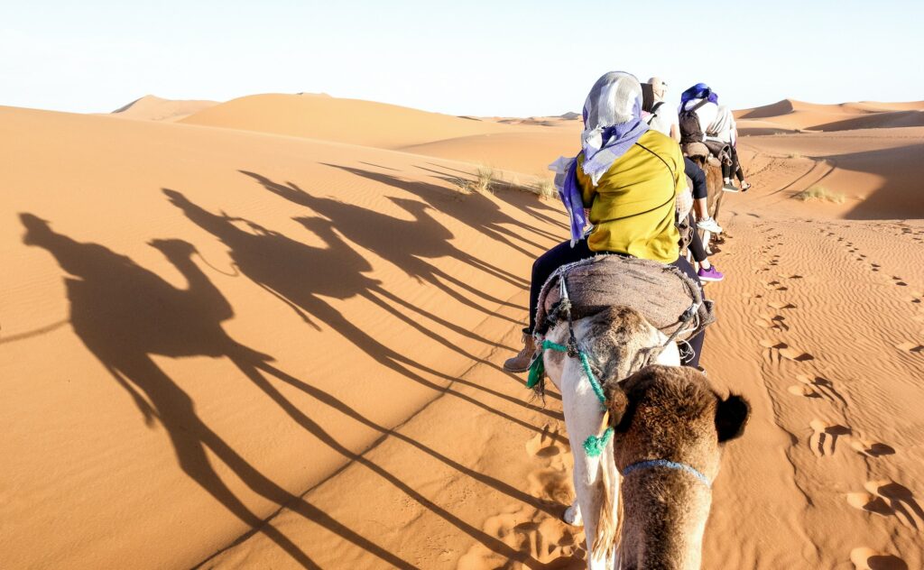 Excursion dans le Sahara