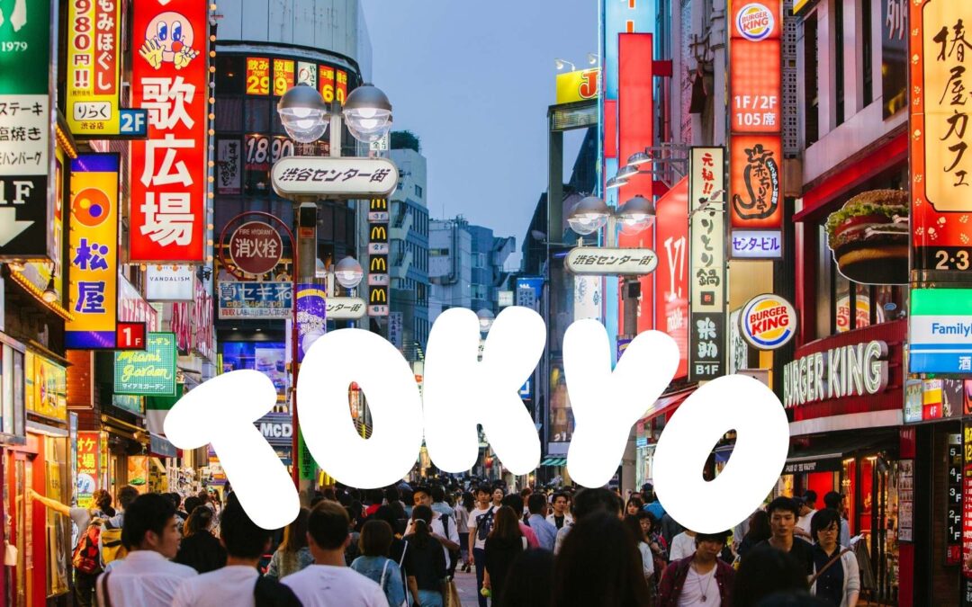 Tokyo : Un guide des cafés les plus insolites et originaux
